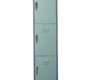 Lion 553