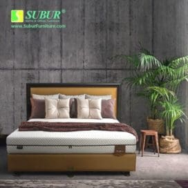 Springbed Dr. Spine Dreamline