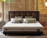 Springbed Serenade Dreamline