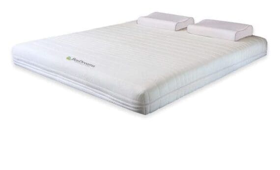 Bee Dreams Kasur type Orthopedic
