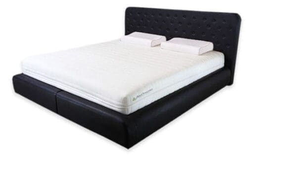 Bee Dreams Kasur type Royal