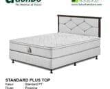 Standard Plus Top Paris
