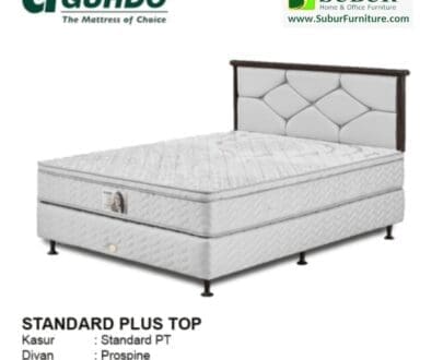 Standard Plus Top Paris