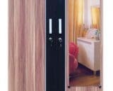 Lunar Lemari Pakaian 2 Pintu Berikut Kaca type LPT 011