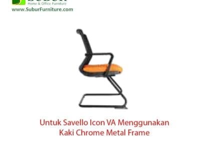 Icon VA