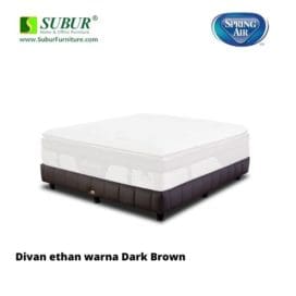 Divan Spring Air Type Ethan 