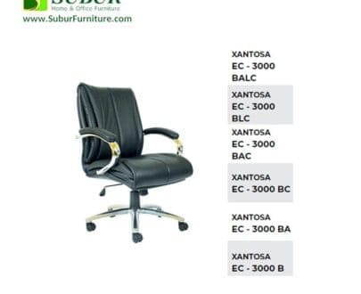EC 3000