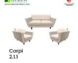 neo design tipe carpi