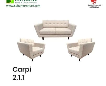 neo design tipe carpi