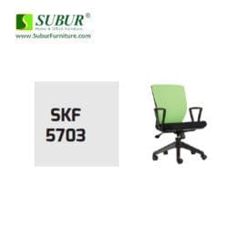 SKF 5703