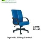 CAPRI EC - 80