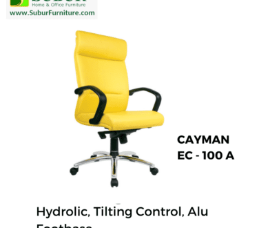 CAYMAN EC - 100 A