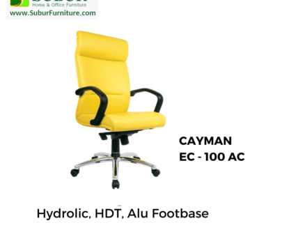 CAYMAN EC - 100 AC