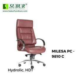 MILESA PC - 9810 C