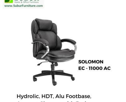 SOLOMON EC - 11000 AC