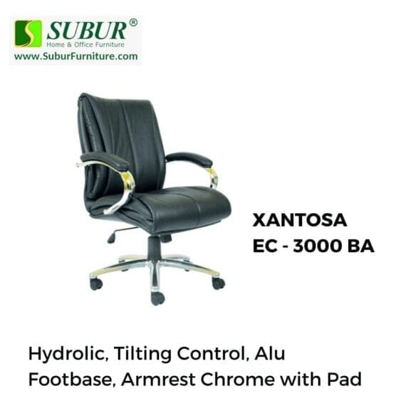 XANTOSA EC - 3000 BA