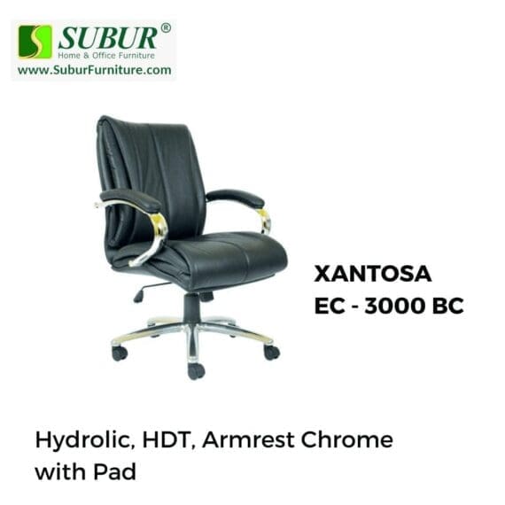XANTOSA EC - 3000 BC