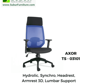 AXOR TS - 03101