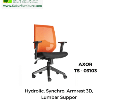 AXOR TS - 03103