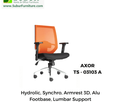 AXOR TS - 03103 A