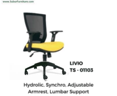 Livio TS - 01103