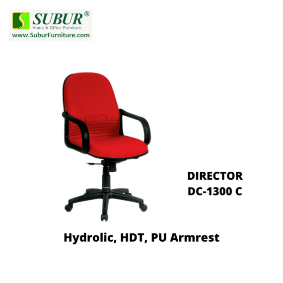 DIRECTOR DC-1300 C