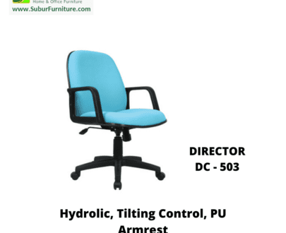 DIRECTOR DC - 503