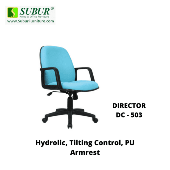 DIRECTOR DC - 503