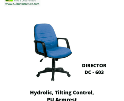DIRECTOR DC - 603