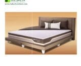 Springbed Therapedic Immunity F