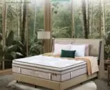 Springbed Procella tipe Solitude