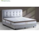 Springbed Alga tipe Jullie