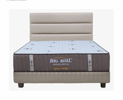 Springbed Big Koil tipe Back Support/Spine Pedic
